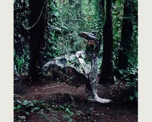 Donkey já tem data oficial de lançamento no Brasil: 25 de julho