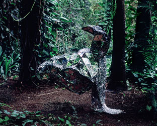 Capa de Donkey. Disco está sendo dado gratuitamente pela Trama no portal ÁlbumVirtual