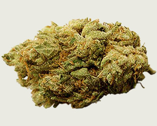 Cannabis que vira pirulito, chiclete, muffin, etc, etc