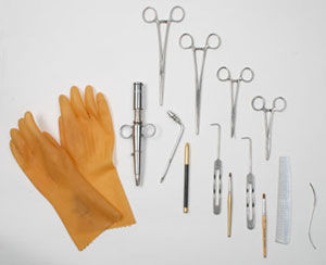 A previsão de arremate para cada um dos instrumentos era de US$ 8 mil