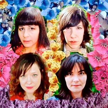 WILD FLAG já está em estúdio e tem shows marcados