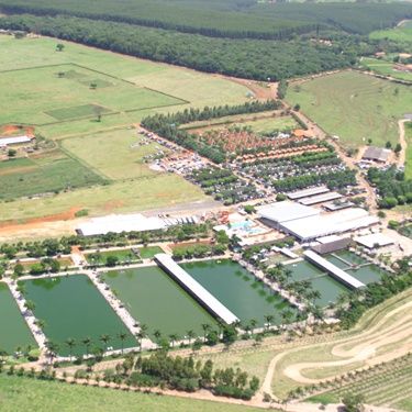 Arena Maeda, onde acontece o SWU