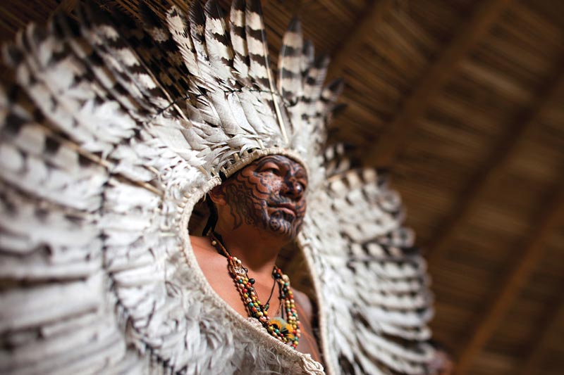 O Mercado de almas selvagens