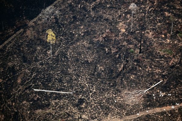 RESTOS MORTAIS Queimada em São Félix do Xingu (PA): cidade é uma das recordistas de incêndios criminosos na Amazônia