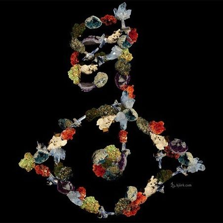 Björk divulga a arte da capa de Biophilia