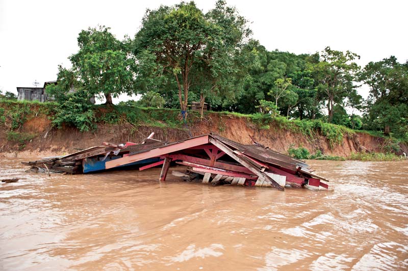 As Veias Secas da Amazônia