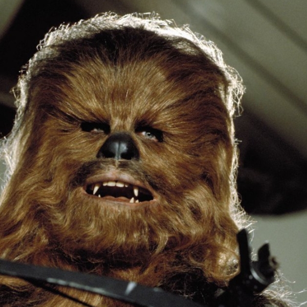 Chewbacca