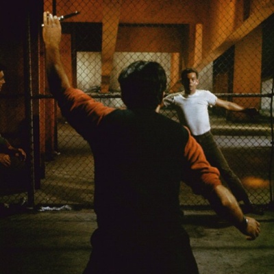 Galeria: Amor, Sublime Amor