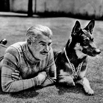 Rin-tin-tin