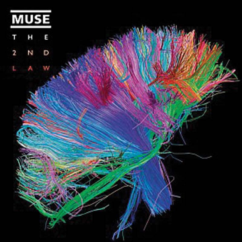 Muse