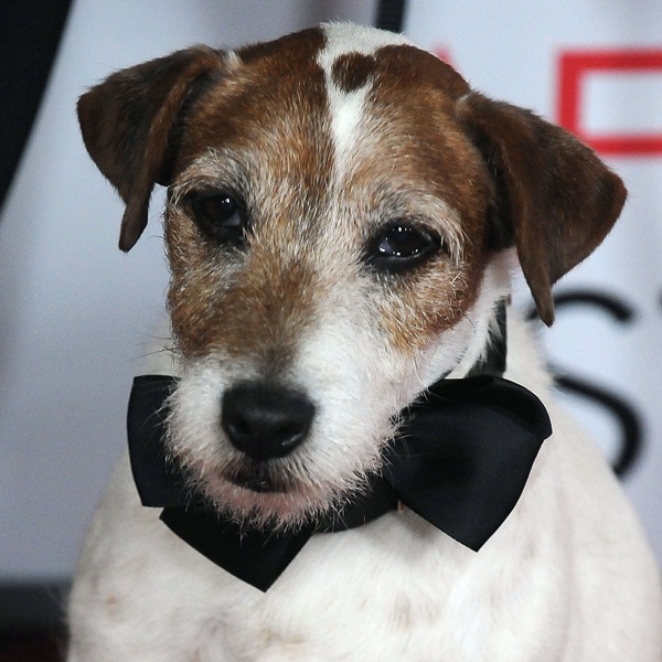 Uggie