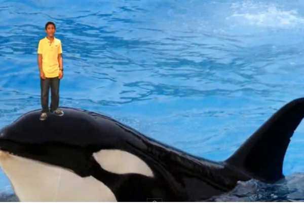 Nissim Ourfali - Galeria Memes