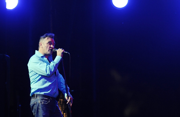 Galeria chatos: pedidos