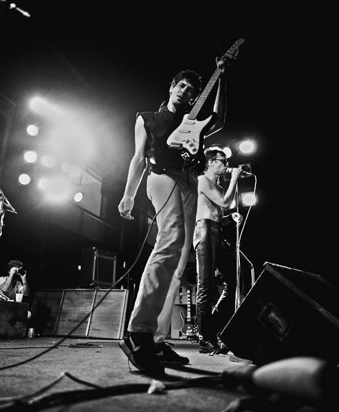 Exposição punk - Camisa de Vênus