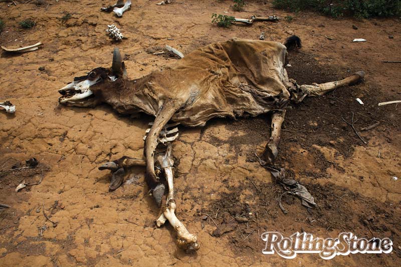 VIDA SECA Muitos produtores de gado perderam animais para a seca. Os cadáveres são depositados nos chamados “cemitérios de ossos”, que acabam se tornando foco de doenças que afetam o restante do rebanho