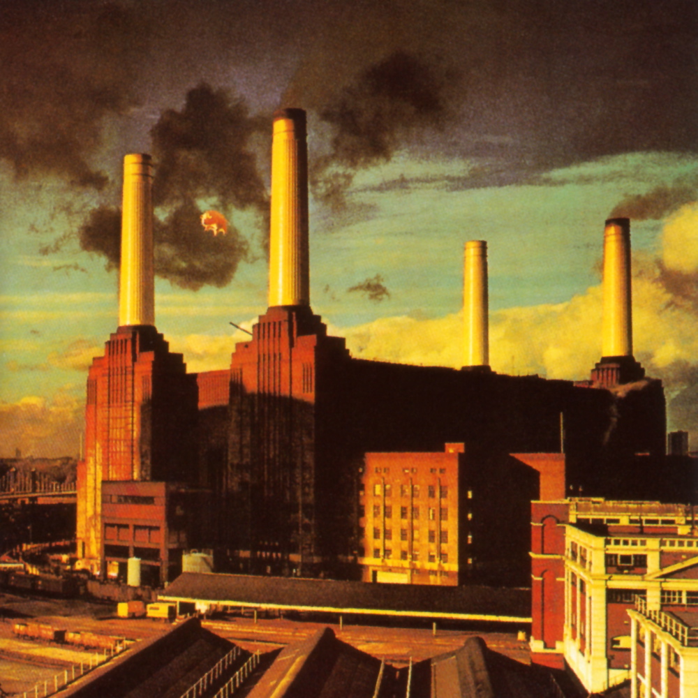 Galeria - Storm Thorgerson – Pink Floyd, Animals