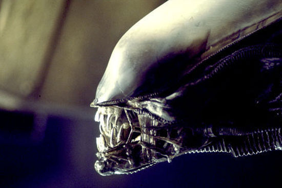 Galeria aliens - Alien