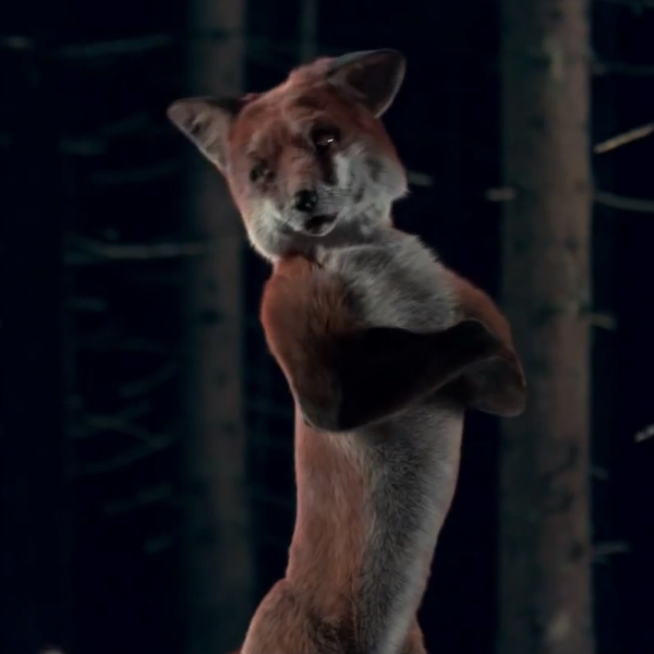 Qual barulho a raposa faz?