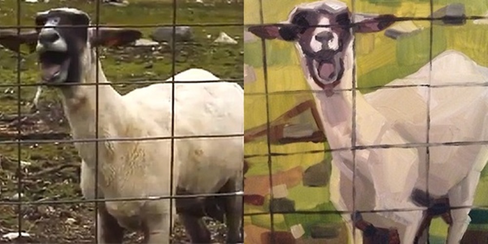 Cabra - memes e arte