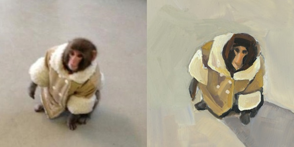 Macaco - arte e memes