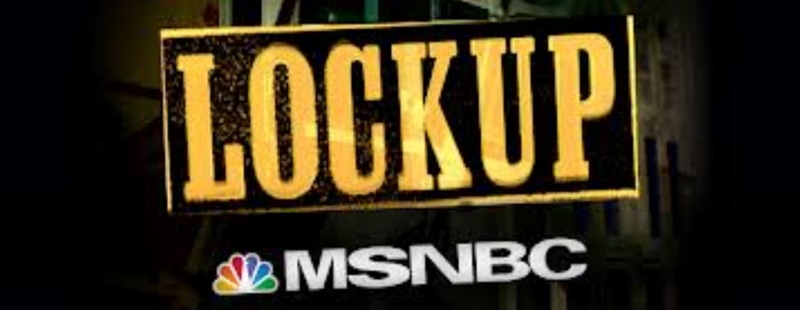 Galeria - séries preferidas de quem trabalha em TV - Joel McHale