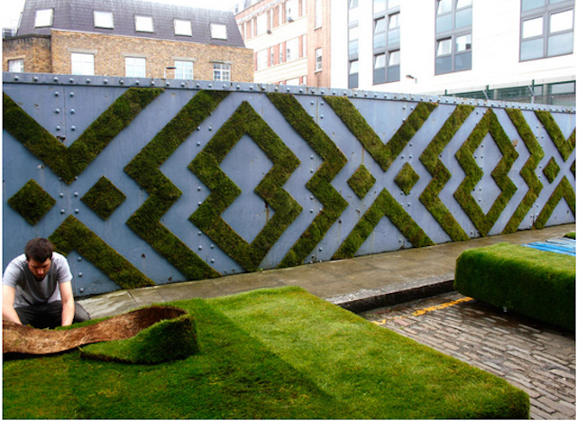 TIM - Grafite de musgo