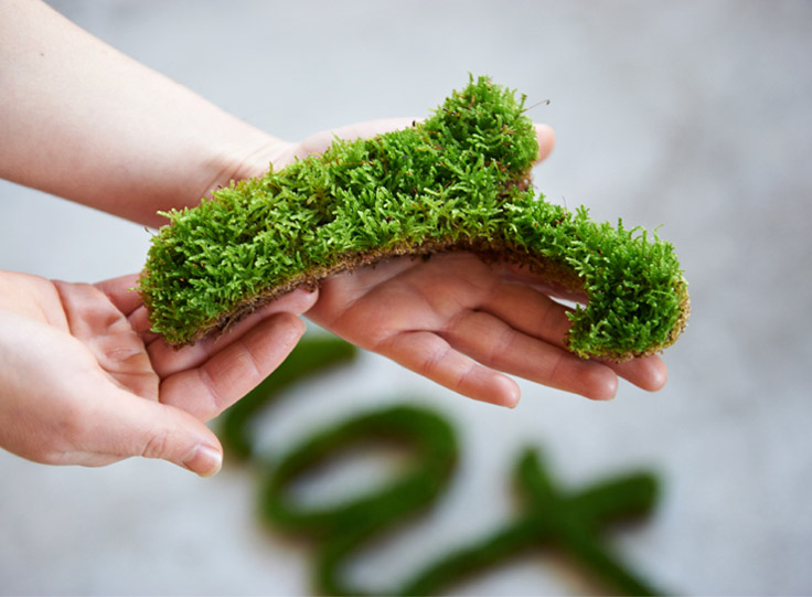 TIM - Grafite de musgo