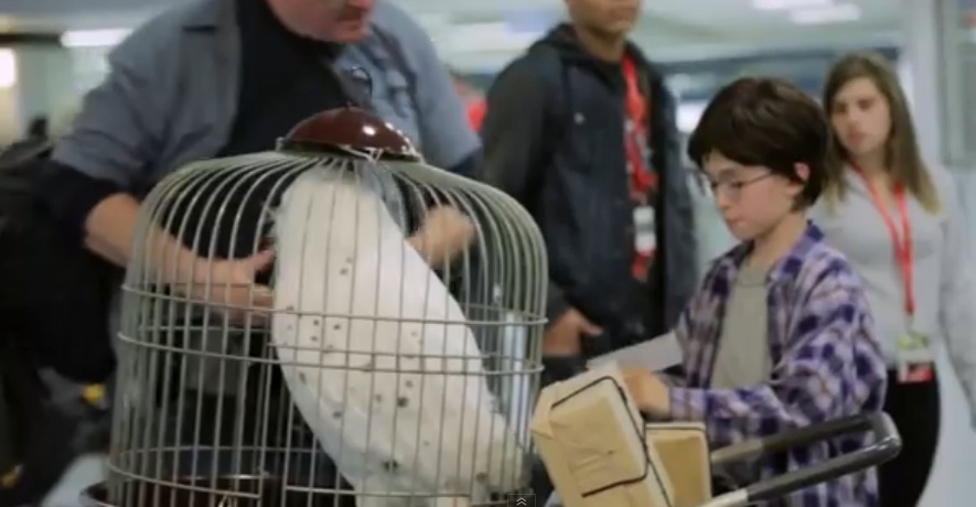 Harry Potter na Penn Station