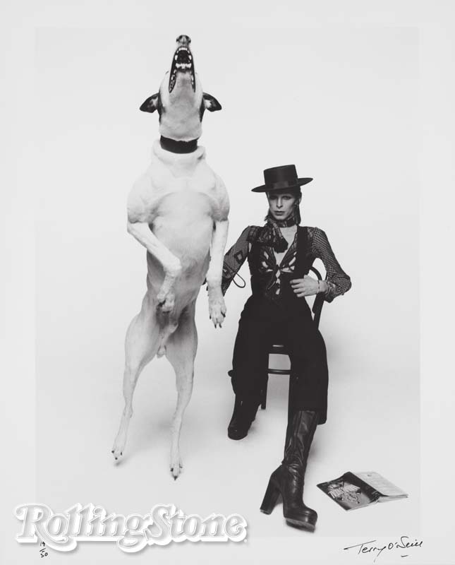 As Muitas Peles de David Bowie