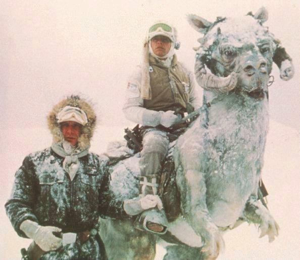 Galeria - Mark Hamill - TaunTaun