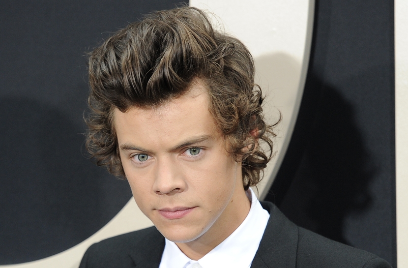 Galeria - Cabelos da Músicos - Harry Styles