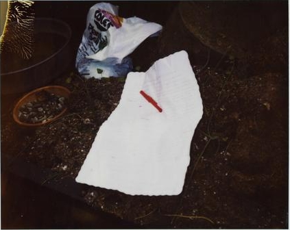 Kurt Cobain - Cena da morte