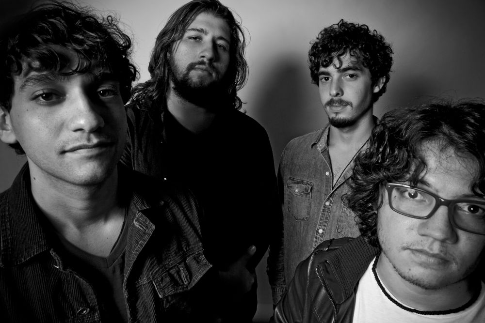 Selvagens à Procura de Lei