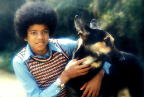 Michael Jackson - galeria juventude