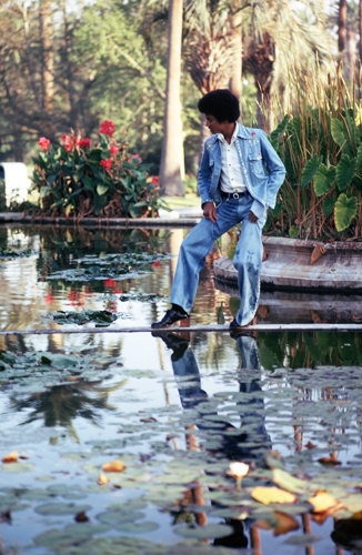 Michael Jackson - galeria juventude