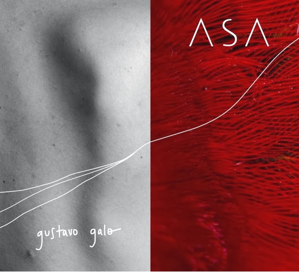 Galeria - 15 discos nacionais lançados no primeiro semestre que você precisa ouvir - Galo