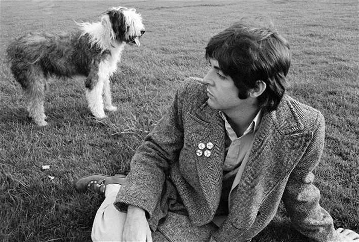 Galeria - Bichos de estimação que inspiraram o rock e o pop - paul mccartney