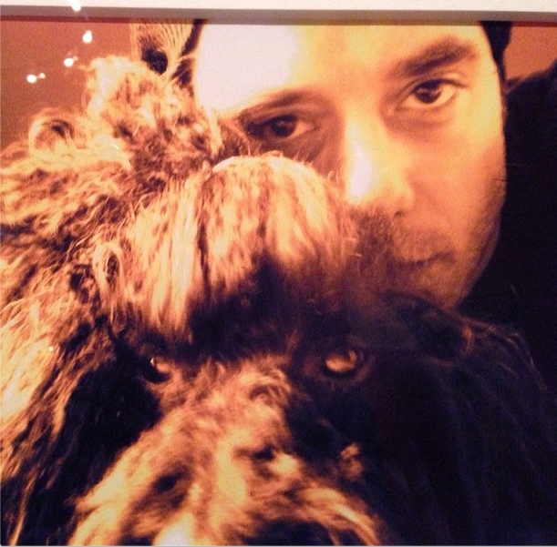 Galeria - Bichos de estimação que inspiraram o rock e o pop - Bush