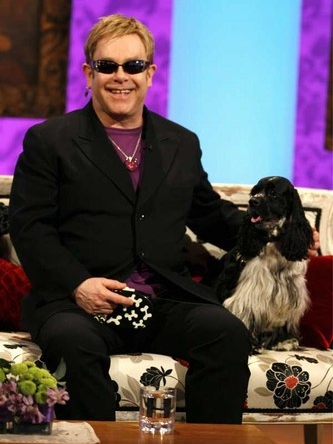 Galeria - Bichos de estimação que inspiraram o rock e o pop - Elton