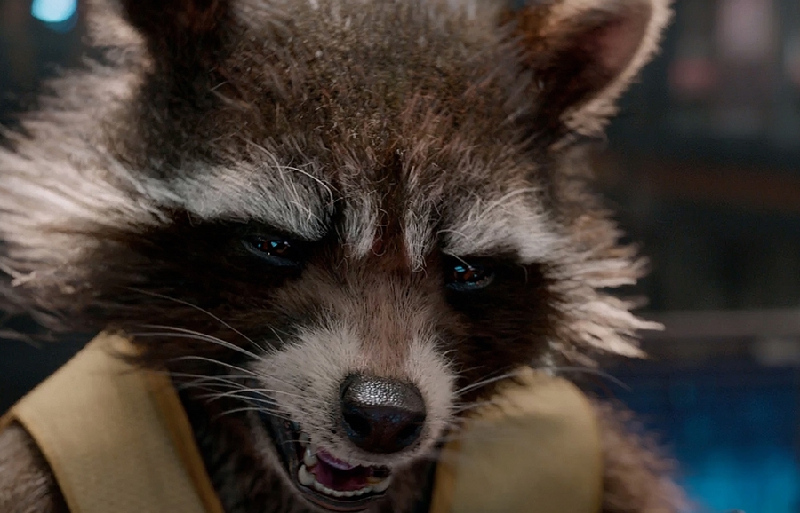 Rocket Raccoon