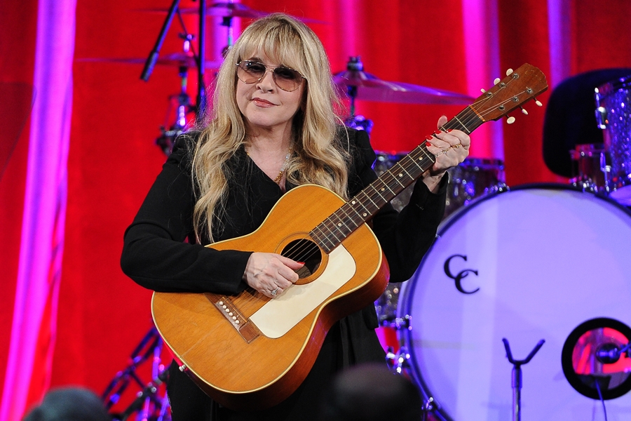 Stevie Nicks