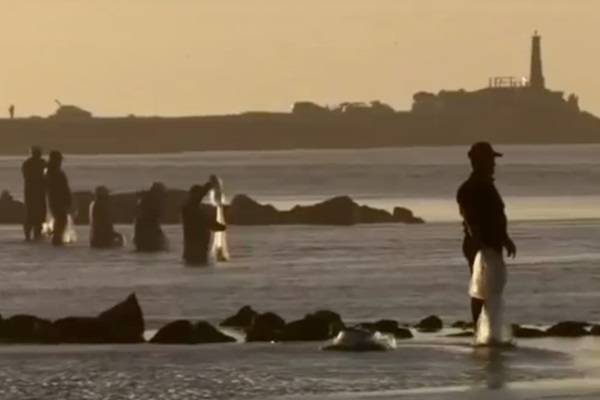 Imagem de Sermão dos Peixes