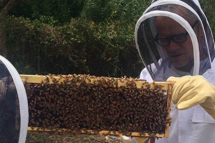 Flea, baixista do Red Hot Chili Peppers, em seu apiário