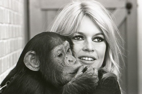Brigitte Bardot