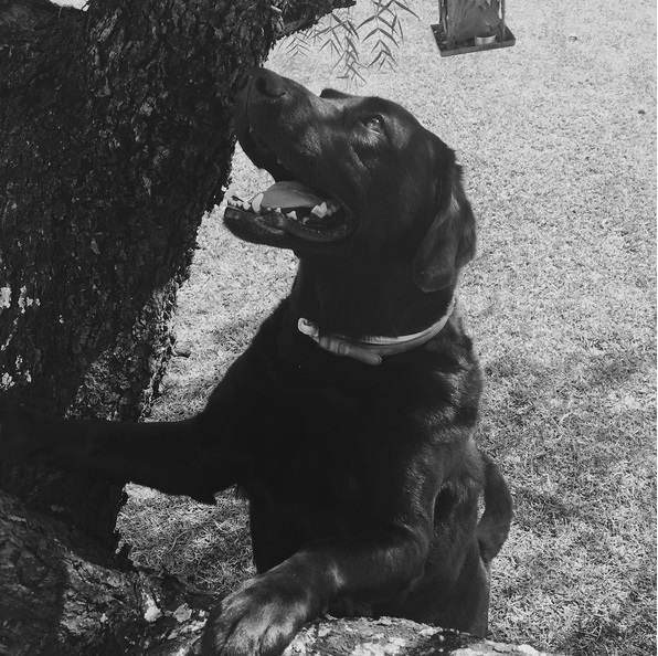 Galeria - Instagram - Gustavo Bertoni