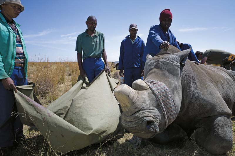 ESTRADA PARA A EXTINÇÃO