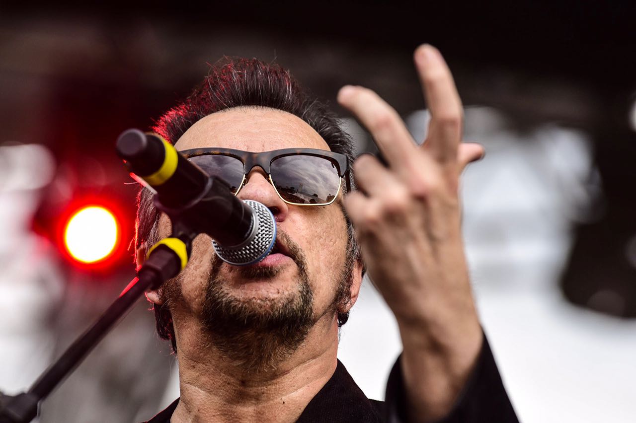 Camisa de Vênus - Galeria