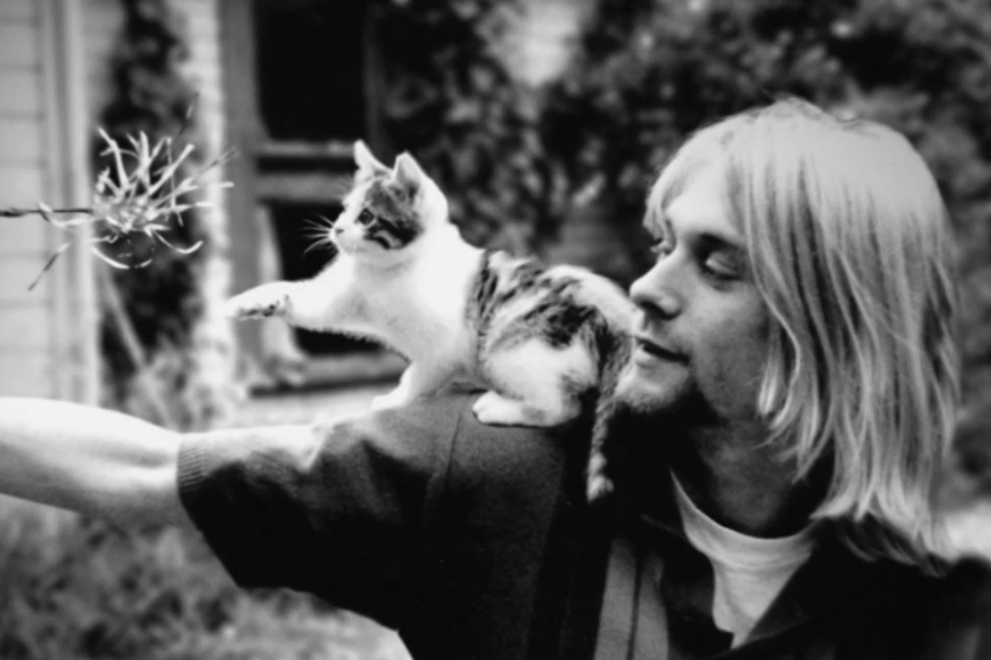 Cobain: Montage of Heck - Netflix fevereiro