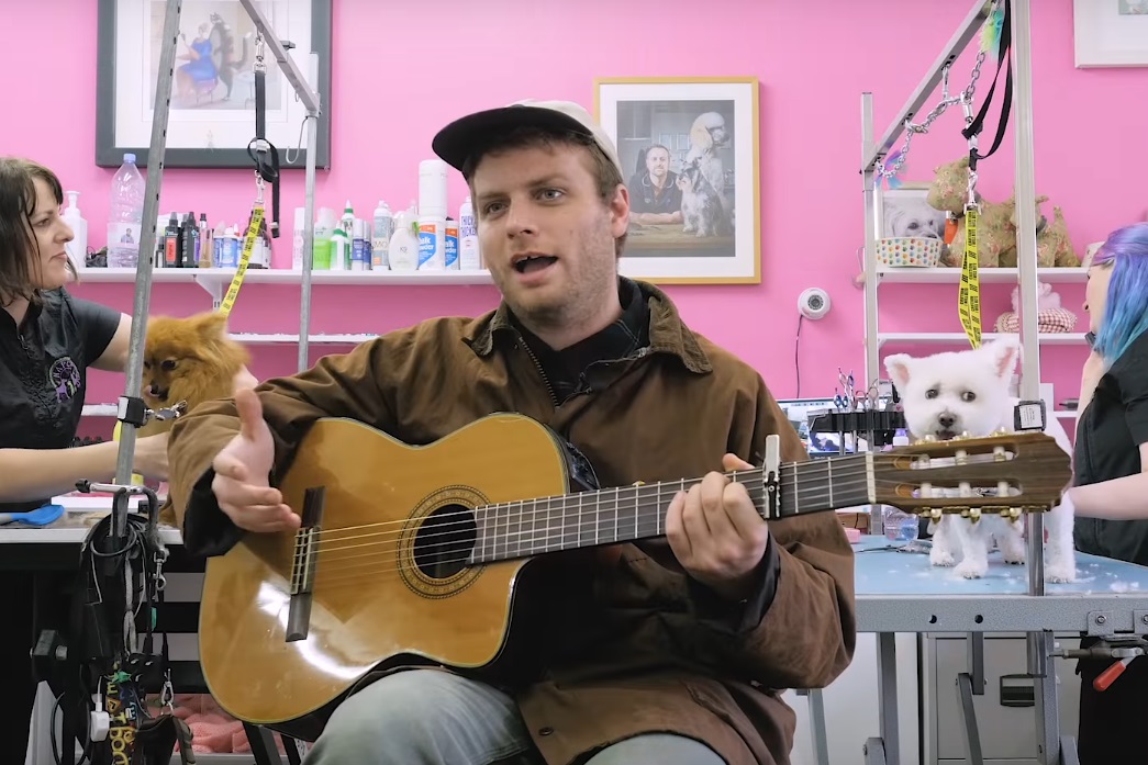 Mac DeMarco tocando "This Old Dog" em um salão de banho e tosa para cachorros