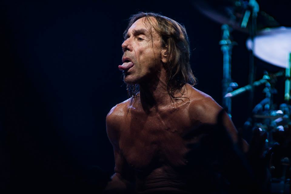 Ao longo de quase cinco décadas de carreira, Iggy Pop foi responsável por inúmeras canções que se transformaram em clássicos do rock. Selecionamos aqui dez grandes momentos da ilustre trajetória do padrinho do punk.     Por Paulo Cavalcanti